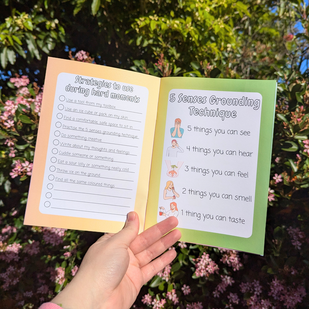 The Lived Experience Guide Book – For Your Mind Boxes