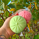 Squeeze Dumplings - Coloured