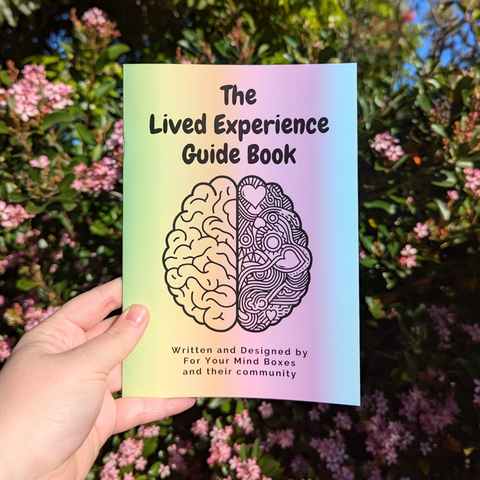 Experience Guide The Lived Experience Guide Book – For Your Mind Boxes