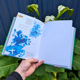 Art Therapy Toolkit