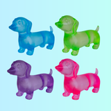 Sugar Squeeze Sausage Dog