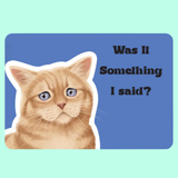 Cattitude Attitude of the Day Cards