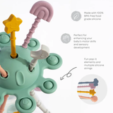 Pull String Interactive Toy
