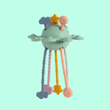 Pull String Interactive Toy