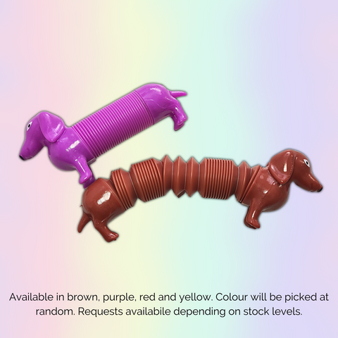 Pop Tube Sausage Dog (Colour chosen at random)