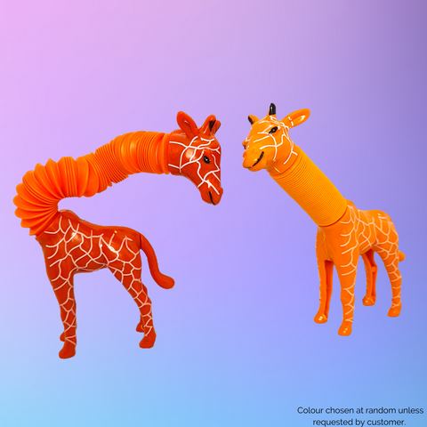 Pop Tube Giraffe (Colour chosen at random)
