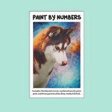 Paint by Numbers